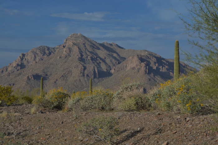 The Picacho Mountains